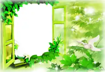 Fotoefect din categoria Rame pentru îndrăgostiți № 96085