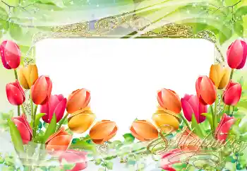 Fotoefect din categoria Felicitări de 8 Martie № 38595. Inscripție pe ramă: 8 Martie