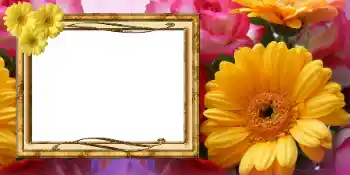 Fotoefect din categoria Felicitări de 8 Martie № 42675