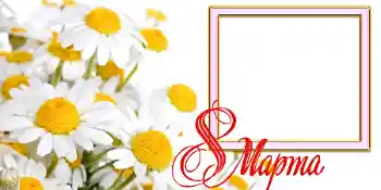 Fotoefect din categoria Felicitări de 8 Martie № 42731. Inscripție pe ramă: 8 Martie