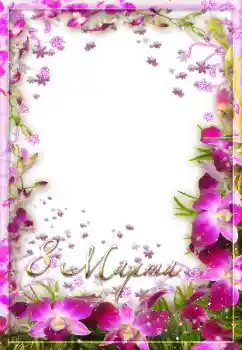 Fotoefect din categoria Felicitări de 8 Martie № 67299. Inscripție pe ramă: Women's Day Fotoefect din categoria Felicitări de 8 Martie № 67299. Inscripție pe ramă: Women's Day