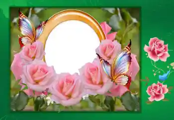 Fotoefect din categoria Felicitări de zi de naștere № 130000. Inscripție pe ramă: La mulți ani!