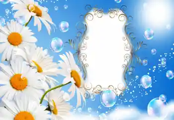 Fotoefect din categoria Felicitări de zi de naștere № 130001. Inscripție pe ramă: La mulți ani!