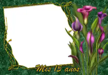 Fotoefect din categoria Felicitări de zi de naștere № 188119. Inscripție pe ramă: La mulți ani!