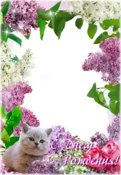 Fotoefect din categoria Felicitări de zi de naștere № 205692. Inscripție pe ramă: La mulți ani!