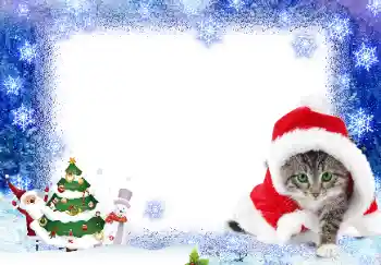 Fotoefect din categoria Felicitări de Anul Nou № 17139