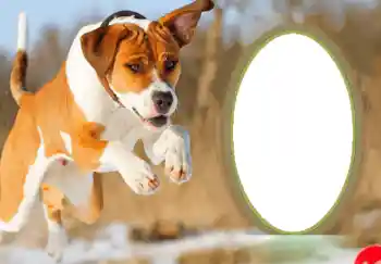Fotoefect din categoria Felicitări de Anul Nou № 68755. Inscripție pe ramă: La mulți ani!