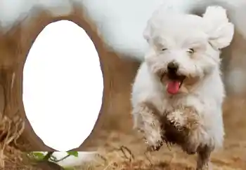 Fotoefect din categoria Felicitări de Anul Nou № 68756. Inscripție pe ramă: La mulți ani!