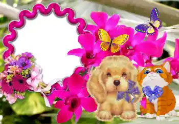 Fotoefect din categoria Diverse sărbători № 116084. Inscripție pe ramă: Felicitări!