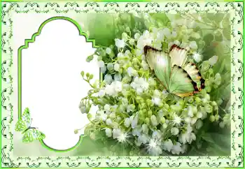 Fotoefect din categoria Diverse sărbători № 116188. Inscripție pe ramă: Felicitări!