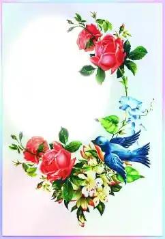 Fotoefect din categoria Diverse sărbători № 116213. Inscripție pe ramă: Felicitări!