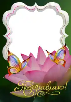 Fotoefect din categoria Diverse sărbători № 117543. Inscripție pe ramă: Felicitări! Fotoefect din categoria Diverse sărbători № 117543. Inscripție pe ramă: Felicitări!