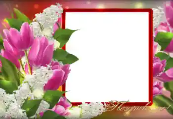 Fotoefect din categoria Diverse sărbători № 128349. Inscripție pe ramă: Felicitări!