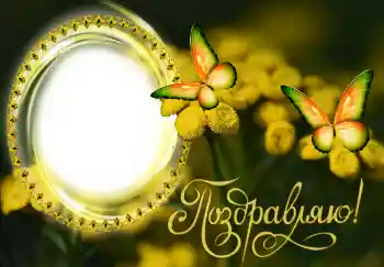 Fotoefect din categoria Diverse sărbători № 131482. Inscripție pe ramă: Felicitări!