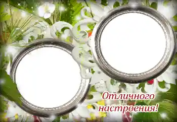 Fotoefect din categoria Diverse sărbători № 139887. Inscripție pe ramă: Dispoziție minunată!