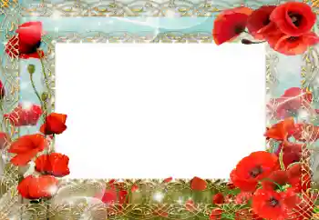 Fotoefect din categoria Diverse sărbători № 151740. Inscripție pe ramă: Ziua comemorării și împăcării Fotoefect din categoria Diverse sărbători № 151740. Inscripție pe ramă: Ziua comemorării și împăcării