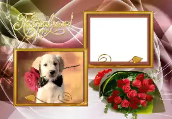 Fotoefect din categoria Diverse sărbători № 153066. Inscripție pe ramă: Felicitări! Fotoefect din categoria Diverse sărbători № 153066. Inscripție pe ramă: Felicitări!