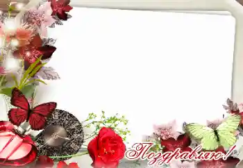 Fotoefect din categoria Diverse sărbători № 159471. Inscripție pe ramă: Felicitări! Fotoefect din categoria Diverse sărbători № 159471. Inscripție pe ramă: Felicitări!