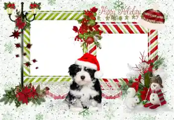 Fotoefect din categoria Diverse sărbători № 163336. Inscripție pe ramă: Happy Holidays Fotoefect din categoria Diverse sărbători № 163336. Inscripție pe ramă: Happy Holidays