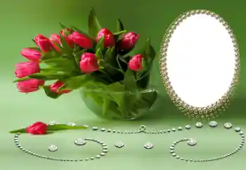 Fotoefect din categoria Diverse sărbători № 169026