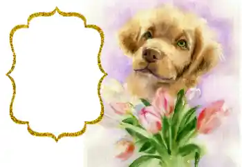 Fotoefect din categoria Diverse sărbători № 190529 Fotoefect din categoria Diverse sărbători № 190529