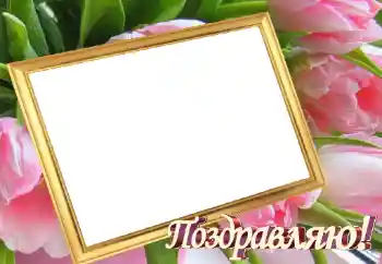 Fotoefect din categoria Diverse sărbători № 45899. Inscripție pe ramă: Felicitări! Fotoefect din categoria Diverse sărbători № 45899. Inscripție pe ramă: Felicitări!