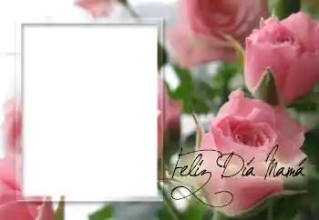 Fotoefect din categoria Diverse sărbători № 60152. Inscripție pe ramă: La mulți ani de Ziua Mamei! Fotoefect din categoria Diverse sărbători № 60152. Inscripție pe ramă: La mulți ani de Ziua Mamei!