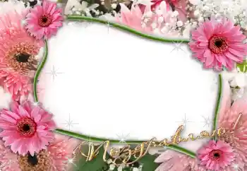 Fotoefect din categoria Diverse sărbători № 7515. Inscripție pe ramă: Felicitări!