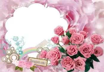 Fotoefect din categoria Diverse sărbători № 87846. Inscripție pe ramă: Felicitări! Fotoefect din categoria Diverse sărbători № 87846. Inscripție pe ramă: Felicitări!