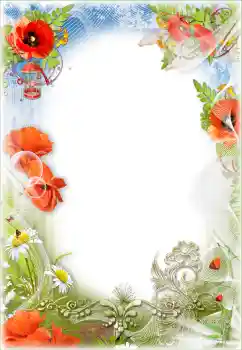 Fotoefect din categoria Diverse sărbători № 98707. Inscripție pe ramă: Ziua comemorării și împăcării