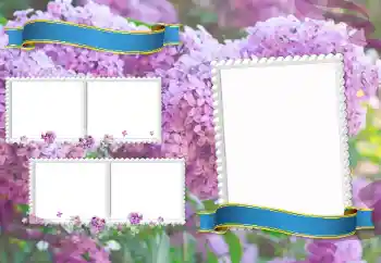 Fotoefect din categoria Diverse școlare № 205350