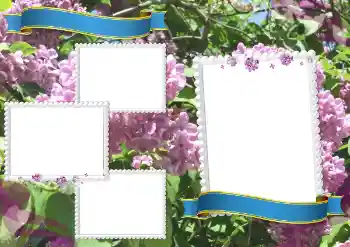 Fotoefect din categoria Diverse școlare № 205360