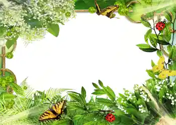 Fotoefect din categoria Vară № 1109