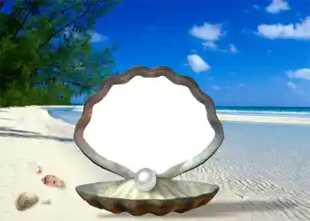 Fotoefect din categoria Vară № 1111