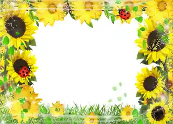 Fotoefect din categoria Vară № 1113