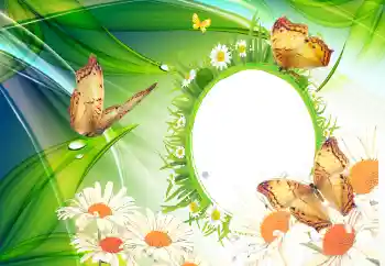 Fotoefect din categoria Vară № 112110
