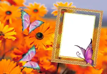 Fotoefect din categoria Vară № 112111