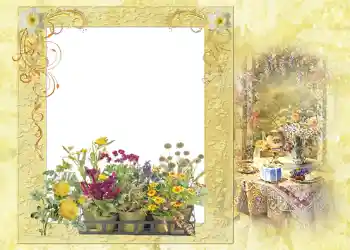 Fotoefect din categoria Vară № 1121