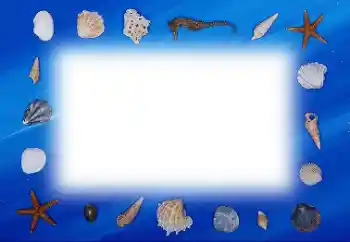Fotoefect din categoria Vară № 113121
