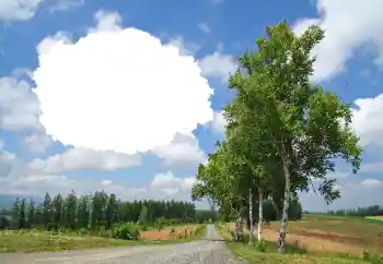 Fotoefect din categoria Vară № 114245
