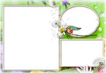 Fotoefect din categoria Vară № 114273