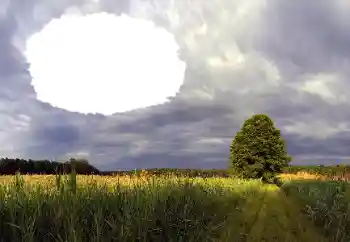 Fotoefect din categoria Vară № 114385