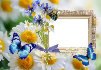 Fotoefect din categoria Vară № 114393