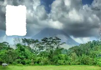 Fotoefect din categoria Vară № 114456