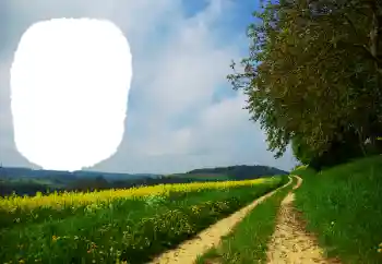 Fotoefect din categoria Vară № 114551