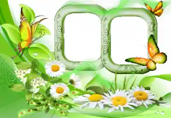 Fotoefect din categoria Vară № 115844