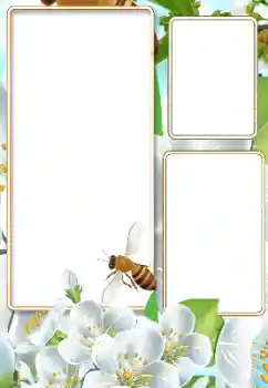 Fotoefect din categoria Vară № 116125