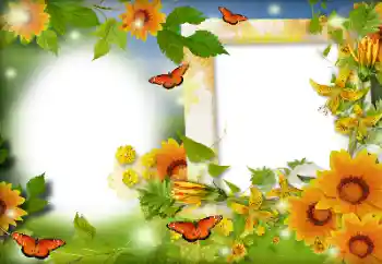 Fotoefect din categoria Vară № 116126