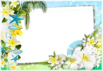 Fotoefect din categoria Vară № 117734