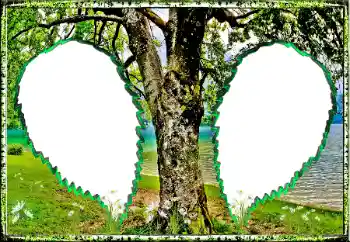 Fotoefect din categoria Vară № 123182